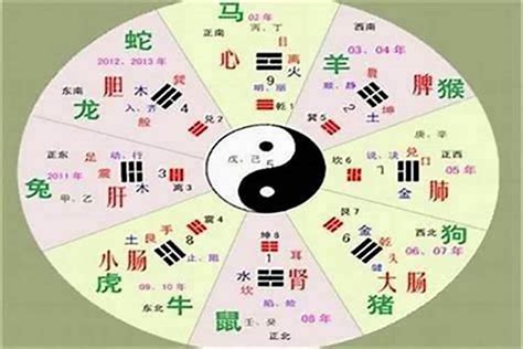 家的五行|家字的五行是什么,家的五行属性及吉利寓意